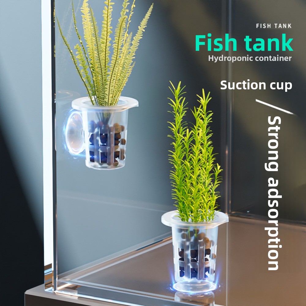 Aquarium Plants Live - 10Pcs Transparent Plant Hydroponic Pot Plastic