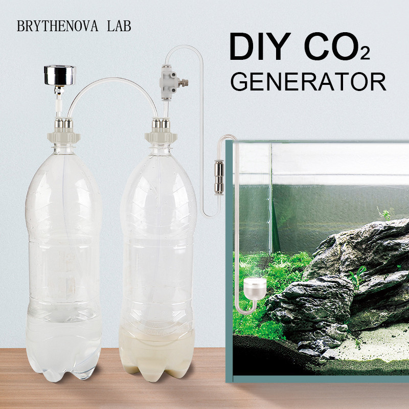 Aquarium Moss - CO2 Generator Aquarium Planted Tank CO2