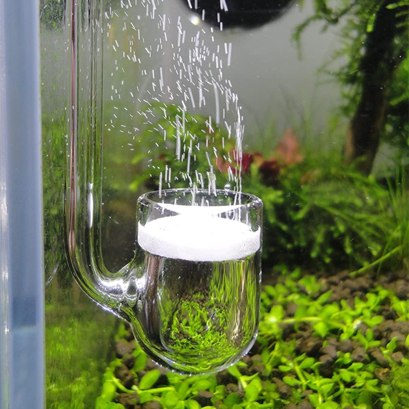 Aquarium Liquid Carbon - Máy khuếch tán CO2 thủy tinh