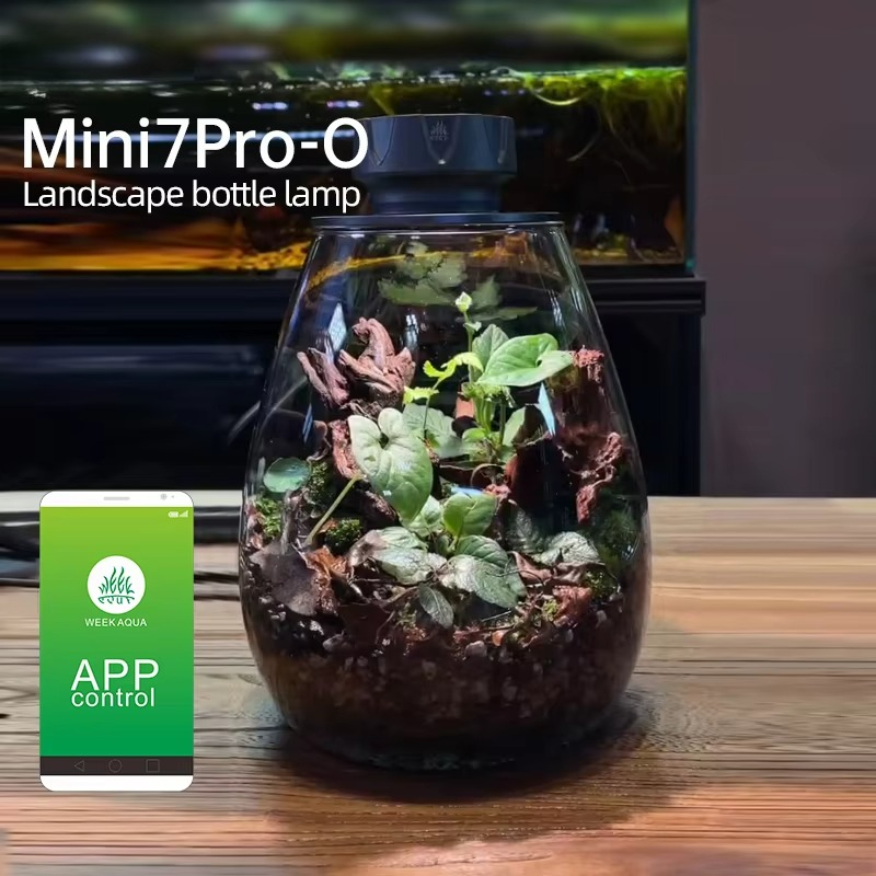 Planted Tank - COB Microlandscape Plant Fill Light Desktop