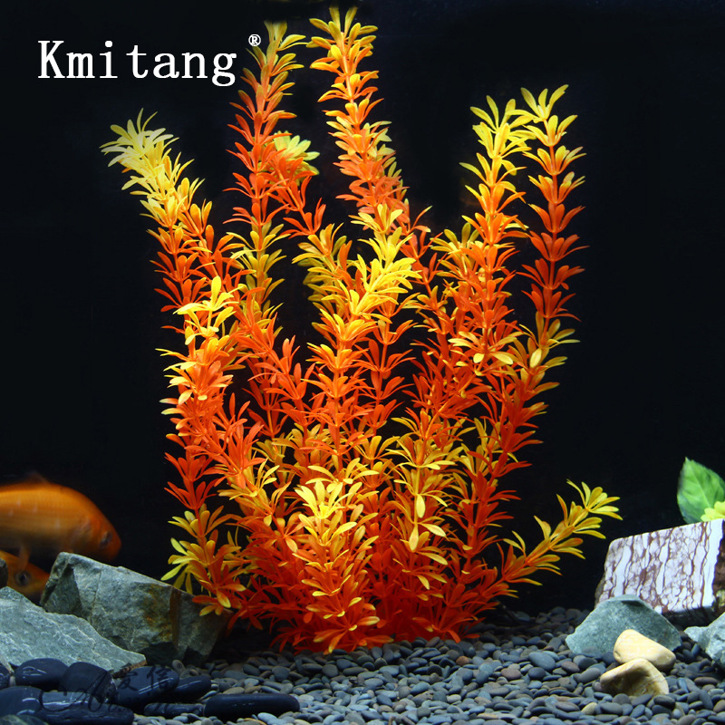 Aquarium Moss - 100Cm Thực Vật Nhiệt Đới Lớn