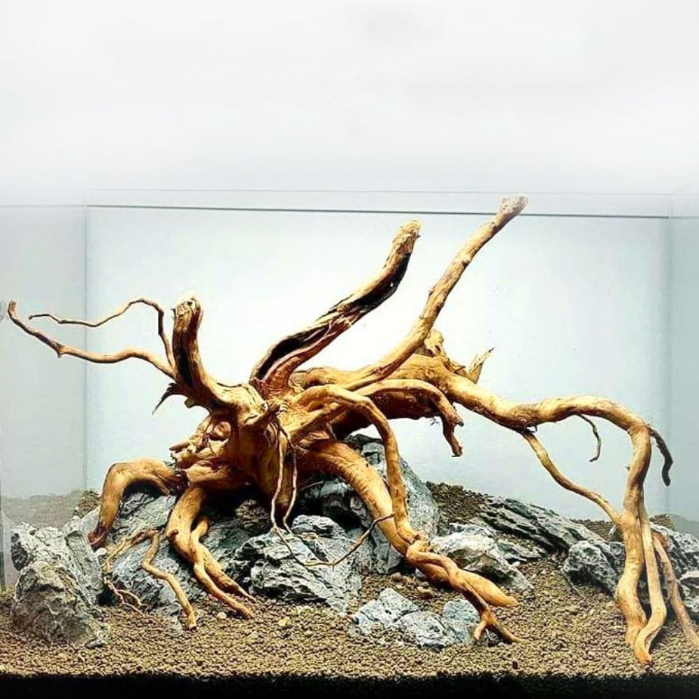 Aquarium Driftwood - 20-25CM Large Aquarium Driftwood Natural Fish