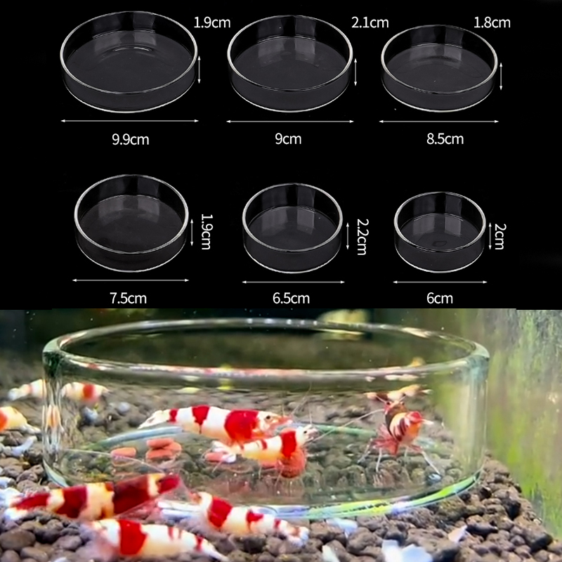 Aquarium Fertilizer - Shrimp Feeding Dish High Transparent Glass