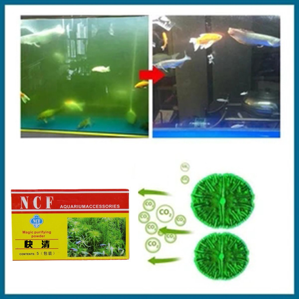 Aquarium Moss - Aquarium Water Purifying Powder Remove Odor