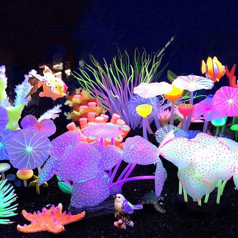 50/75/100CM Linh Hoạt Hải Quỳ  - đánh giá và giá Live Plant Aquarium