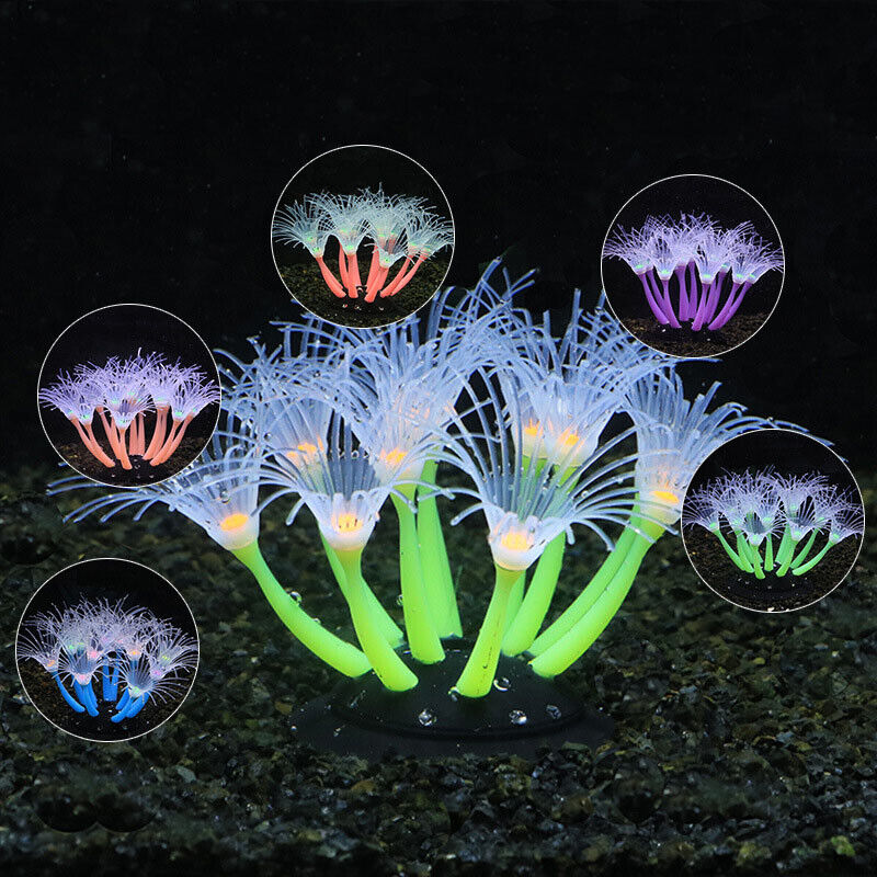 50/75/100CM Linh Hoạt Hải Quỳ  - đánh giá và giá Live Plant Aquarium