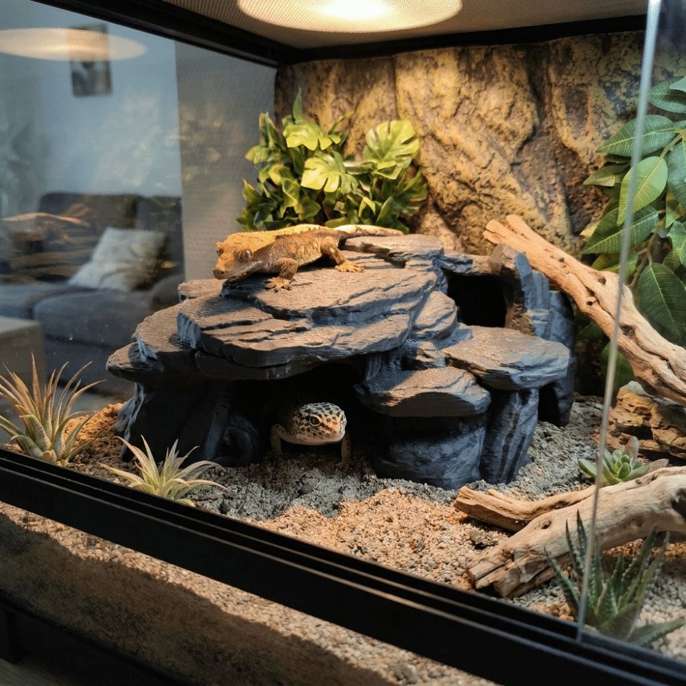 3D Printing Fish Tank Rockery  - đánh giá và giá Aquarium Driftwood