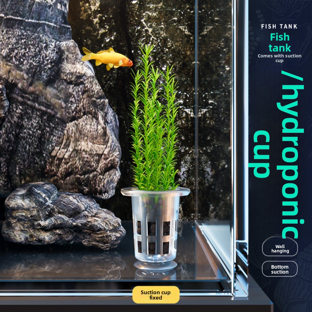 10Pcs Transparent Plant Hydrop - đánh giá và giá Aquarium Plants Live
