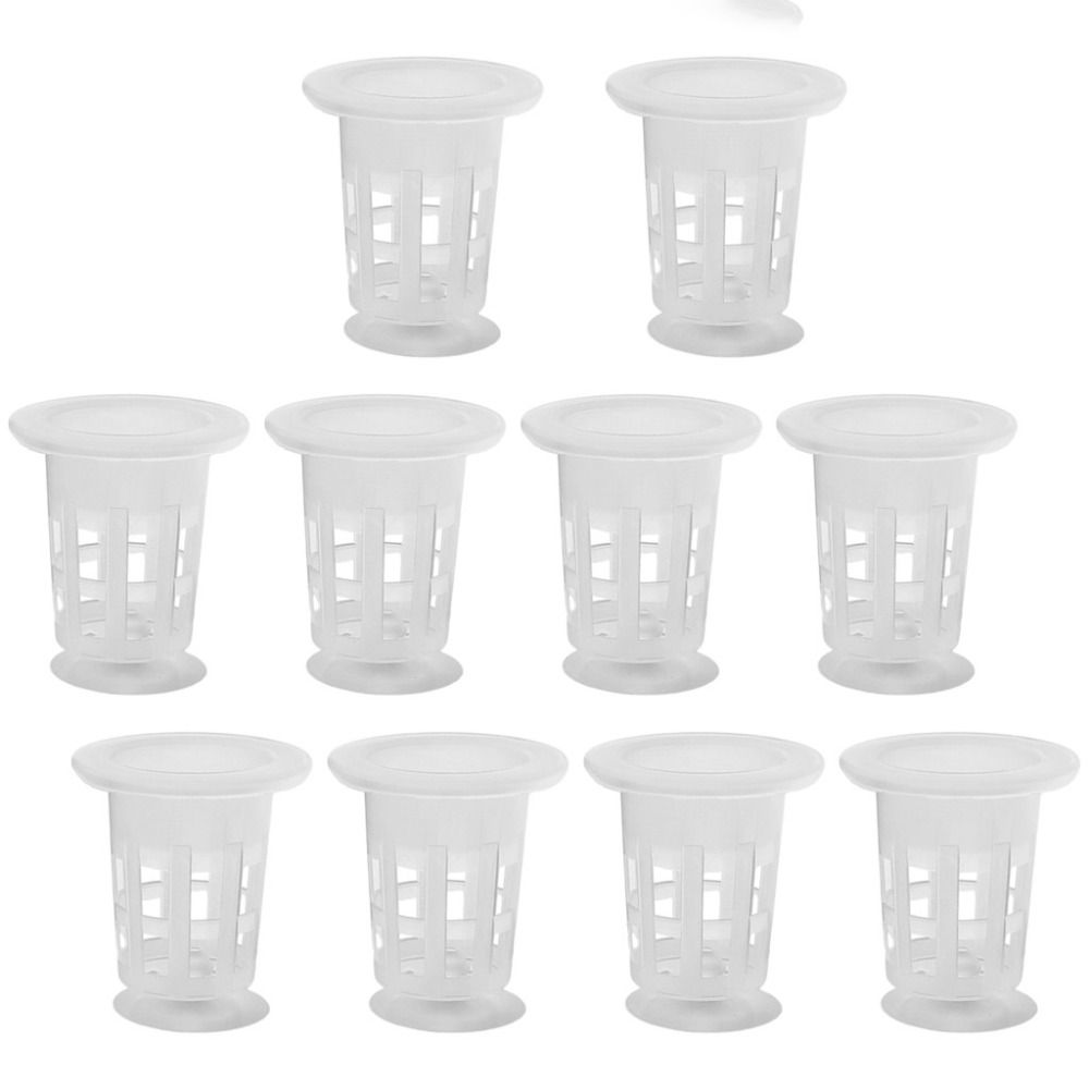 10Pcs Transparent Plant Hydrop - đánh giá và giá Aquarium Plants Live