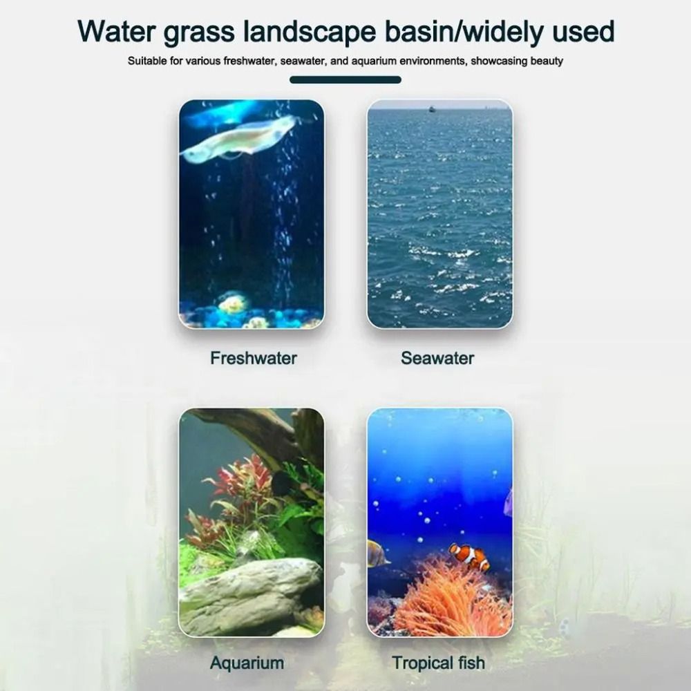 10Pcs Transparent Plant Hydrop - đánh giá và giá Aquarium Plants Live