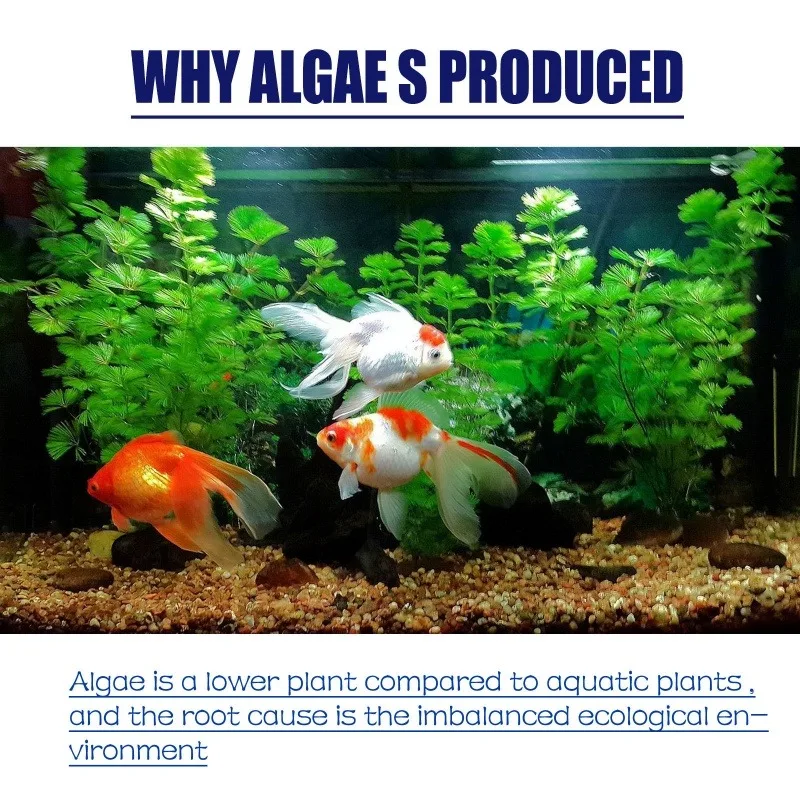50g High Efficiency Algaecide  - đánh giá và giá Aquarium Moss