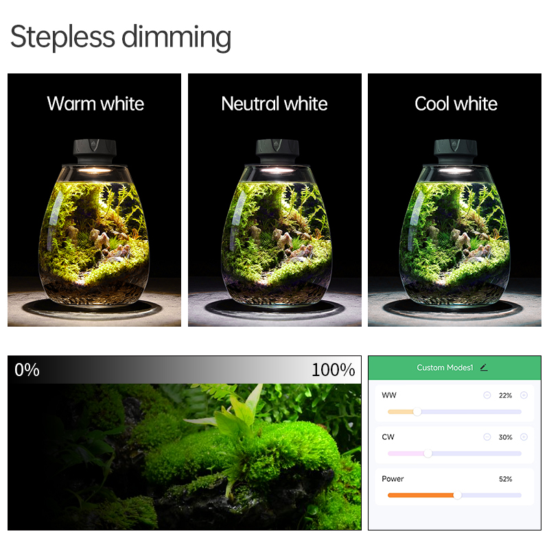 COB Microlandscape Plant Fill  - đánh giá và giá Planted Tank