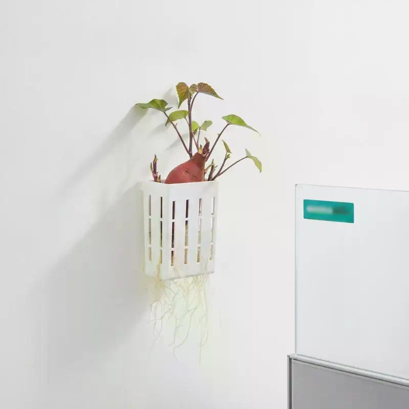 1Pcs Hydroponic Support Basket - đánh giá và giá Planted Tank