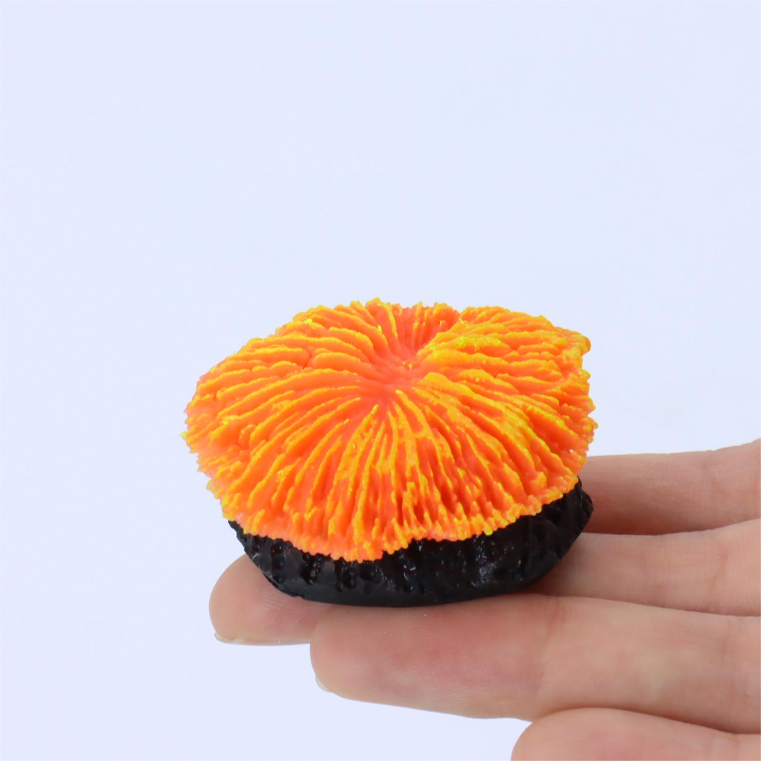 1 Piece Aquarium Decoration Sa - đánh giá và giá Live Plant Aquarium