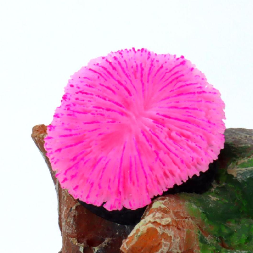 1 Piece Aquarium Decoration Sa - đánh giá và giá Live Plant Aquarium