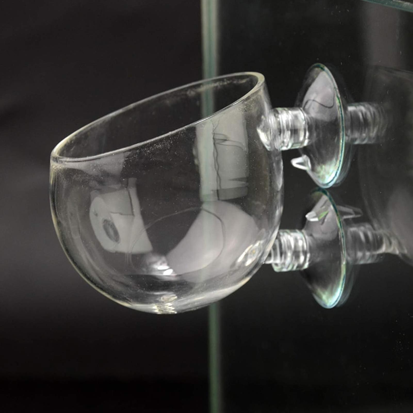 Aquarium Plant Holder Glass Aq - đánh giá và giá Live Plant Aquarium