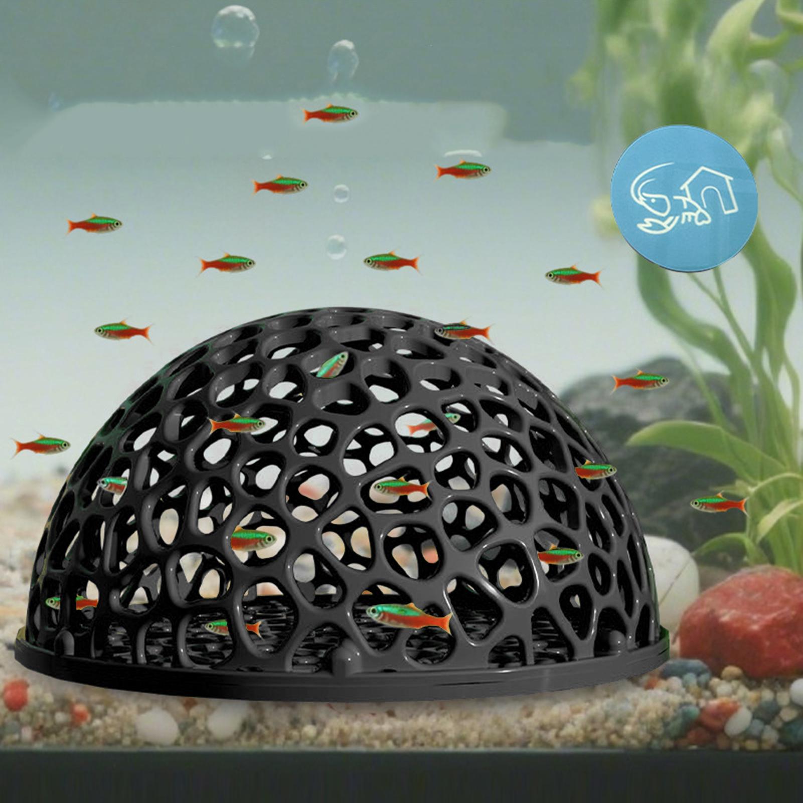 Aquarium Hiden Cave Shelter fo - đánh giá và giá Aquarium Plants Live