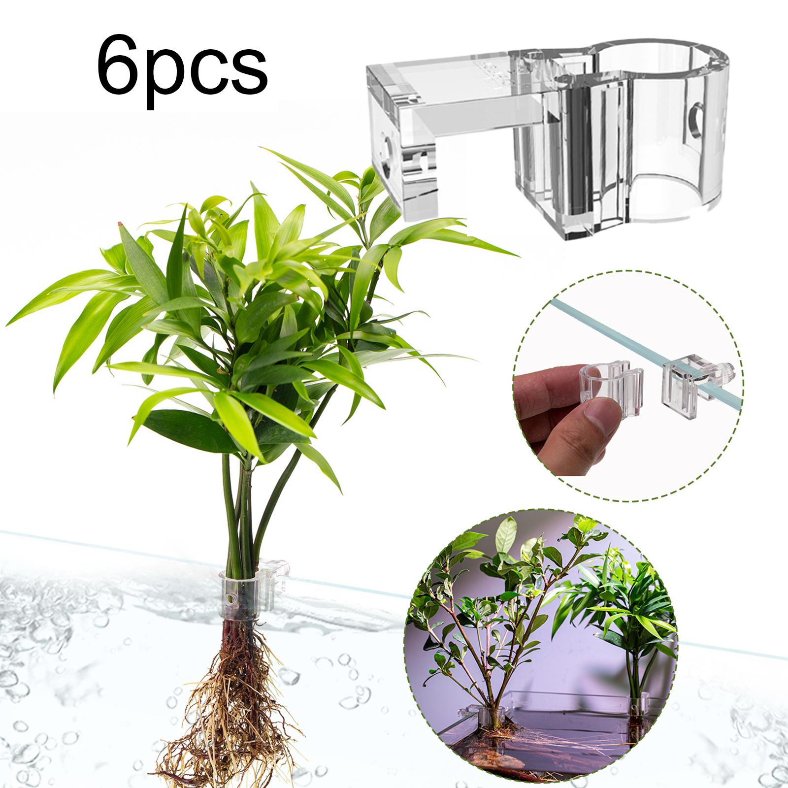 6Pcs Aquarium Plant Holder Sup - đánh giá và giá Aquarium Fertilizer