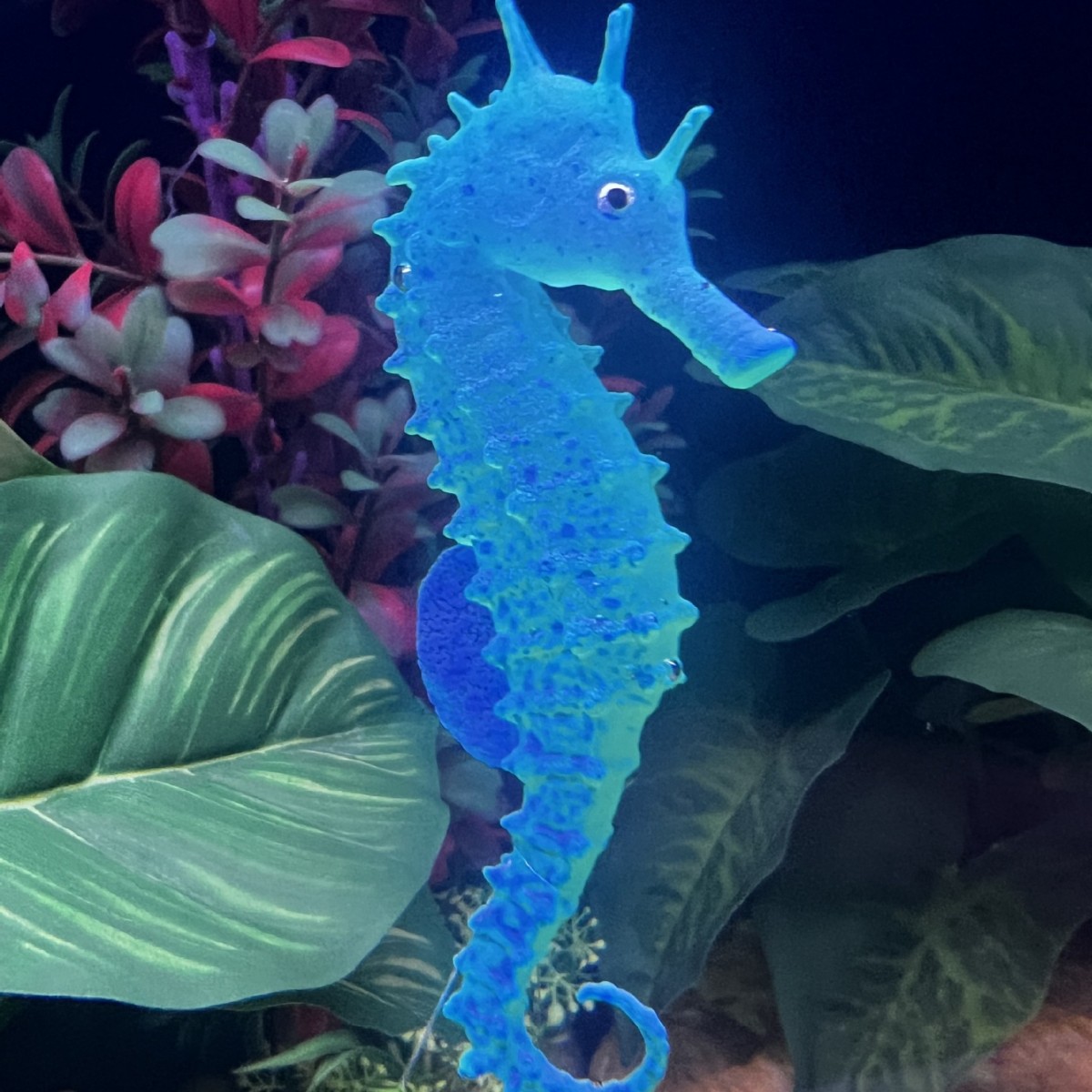 Simulated Luminous Seahorse Fi - đánh giá và giá Aquarium Plant Substrate