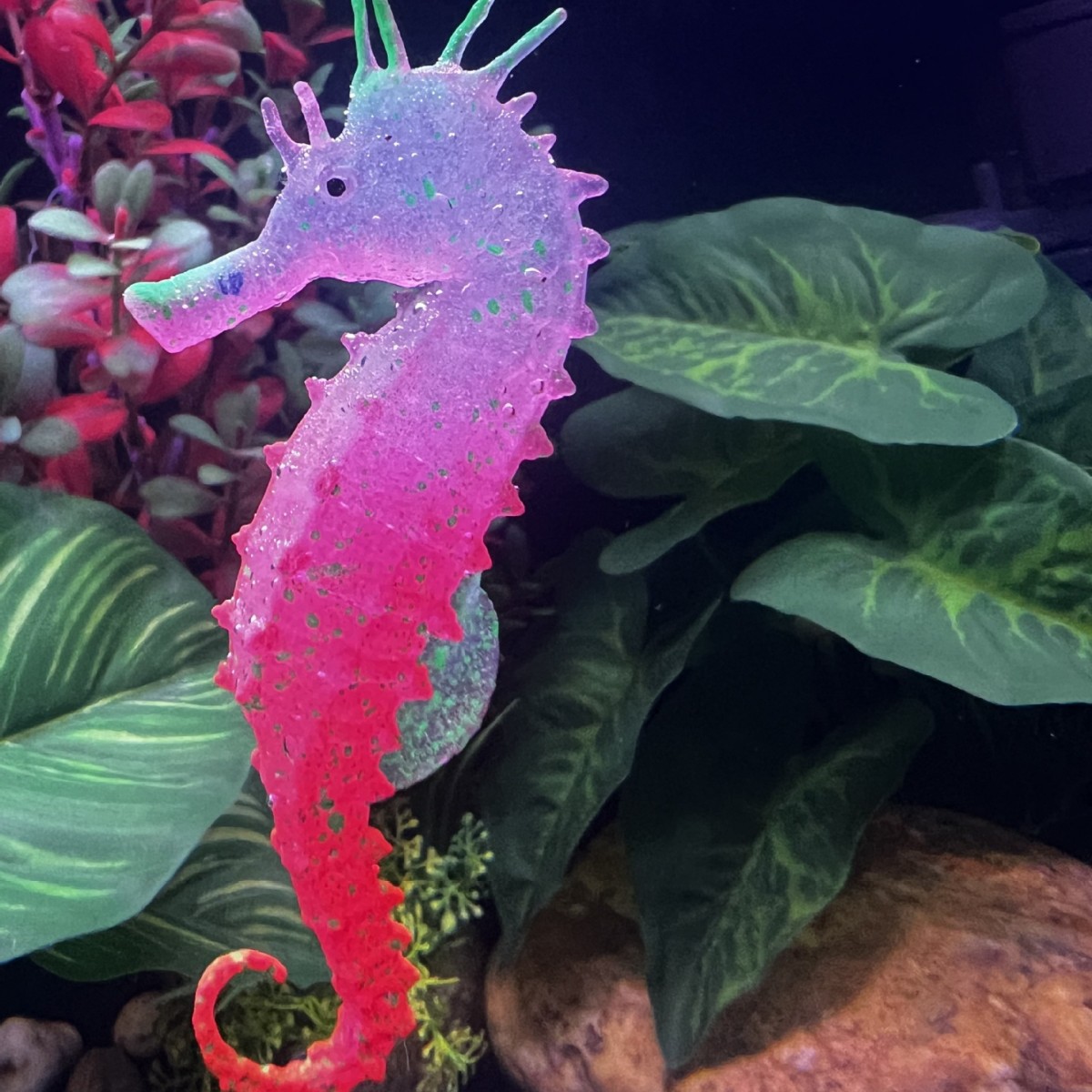 Simulated Luminous Seahorse Fi - đánh giá và giá Aquarium Plant Substrate