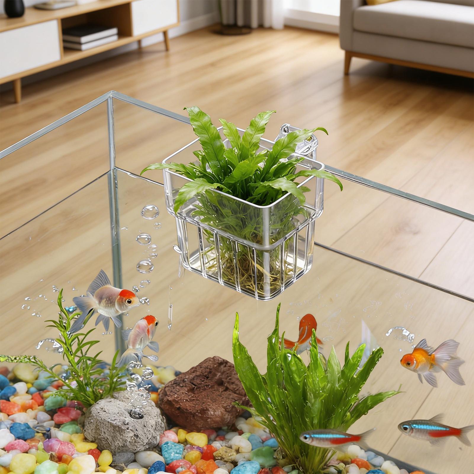 Fish Tank Fixed Basket Wall mo - đánh giá và giá Aquarium Plants Live
