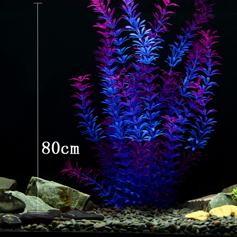 100Cm Thực Vật Nhiệt Đới Lớn N - đánh giá và giá Aquarium Moss