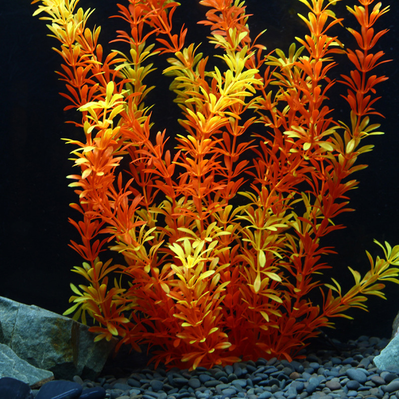 100Cm Thực Vật Nhiệt Đới Lớn N - đánh giá và giá Aquarium Moss