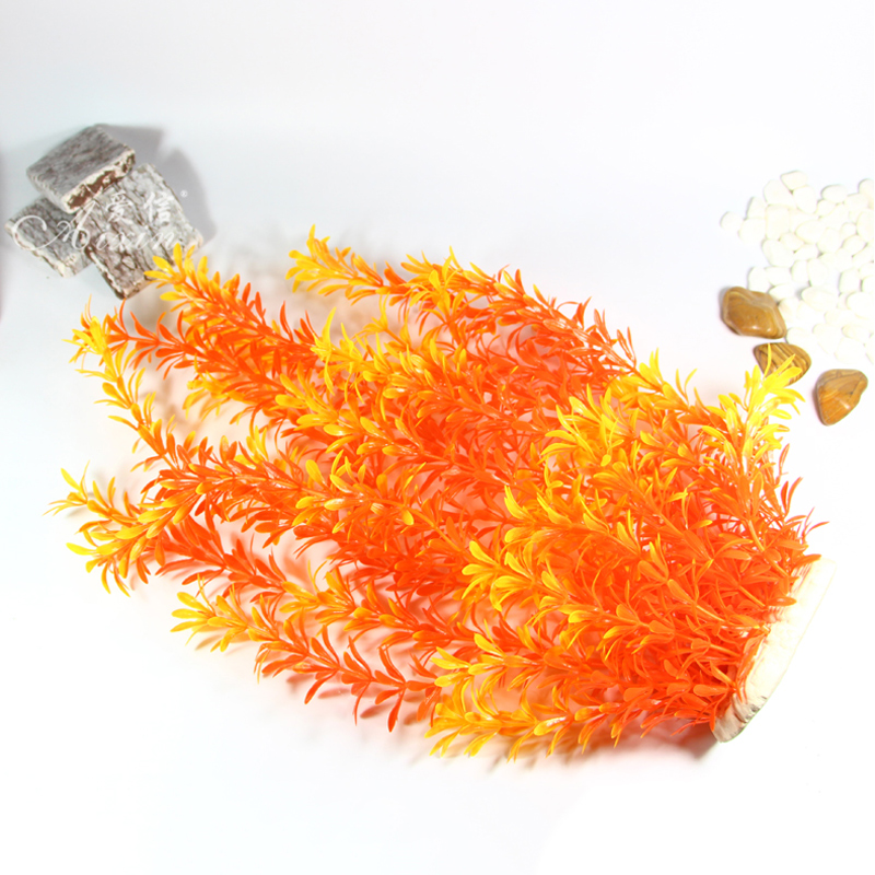 100Cm Thực Vật Nhiệt Đới Lớn N - đánh giá và giá Aquarium Moss