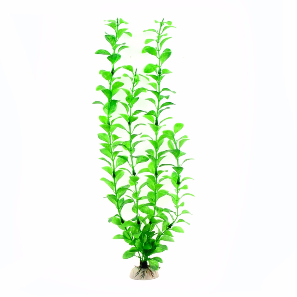 Vật Trang Trí Phụ Kiện Hồ Cá N - đánh giá và giá Live Plant Aquarium
