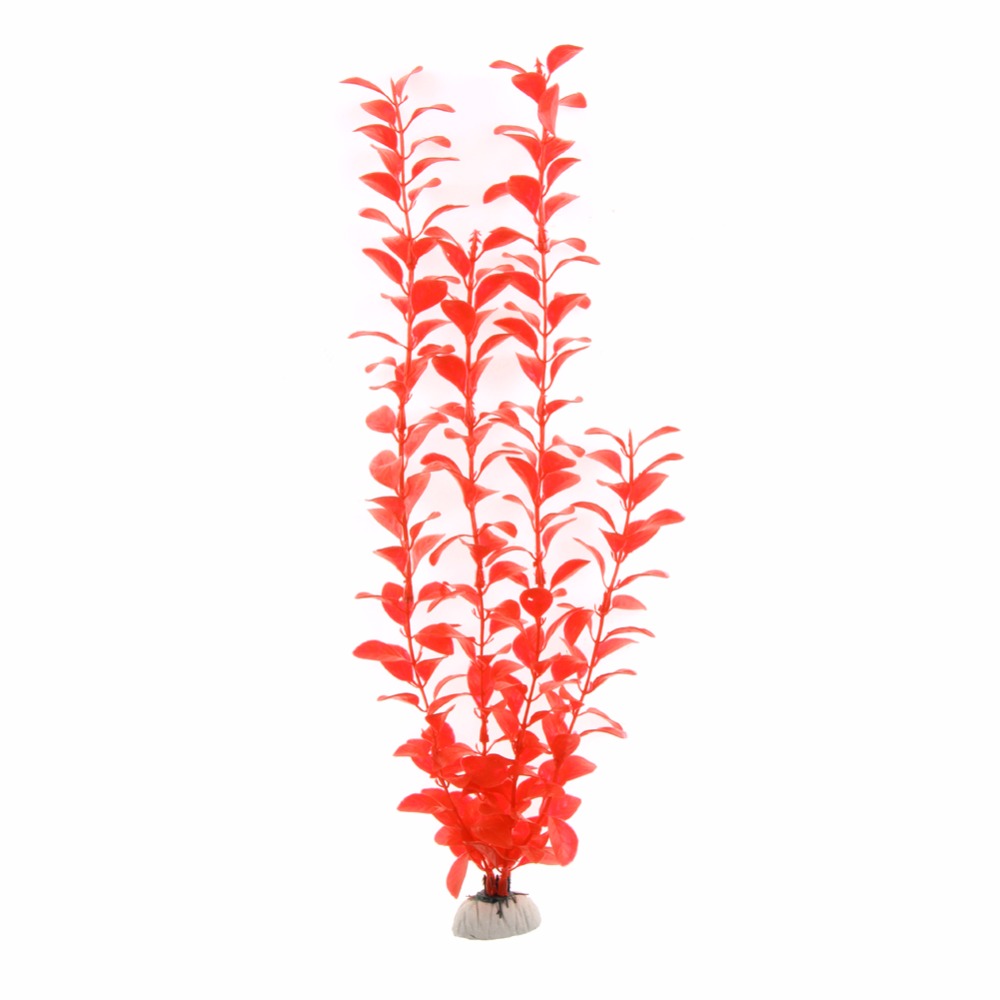 Vật Trang Trí Phụ Kiện Hồ Cá N - đánh giá và giá Live Plant Aquarium