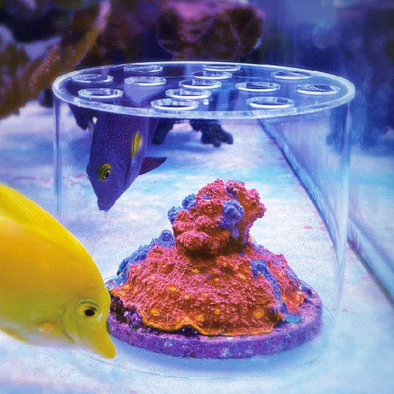 Vastocean Aquarium Arcylic Cor - đánh giá và giá Aquarium Fertilizer