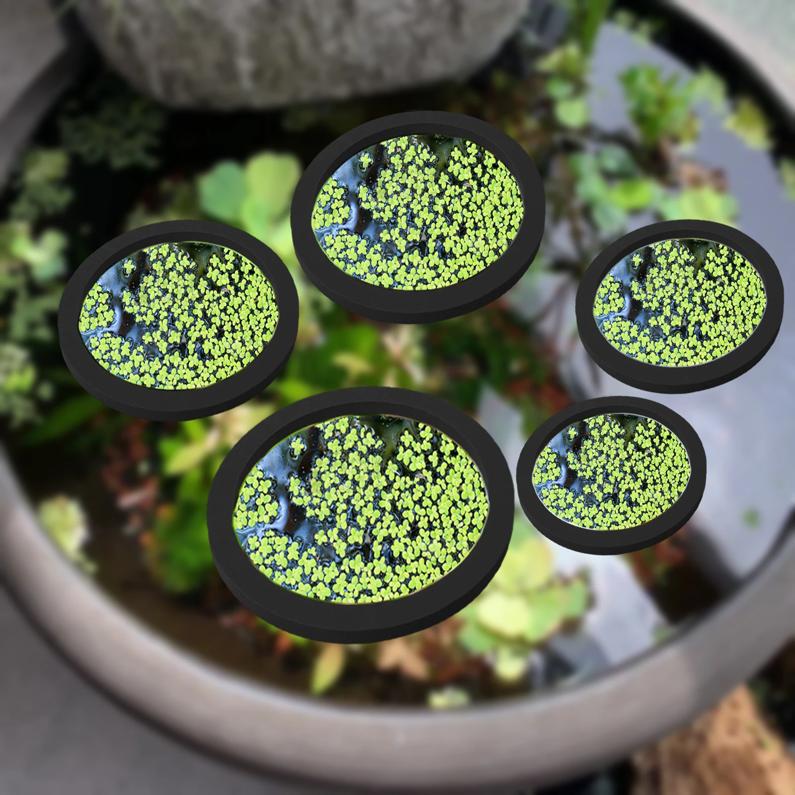 5Pcs EVA Fish Feeding Ring Aqu - đánh giá và giá Planted Tank