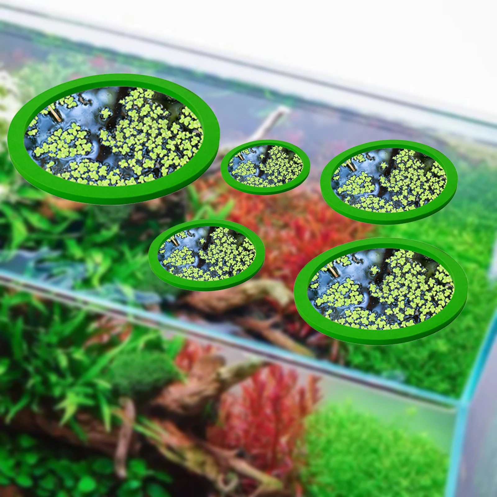5Pcs EVA Fish Feeding Ring Aqu - đánh giá và giá Planted Tank