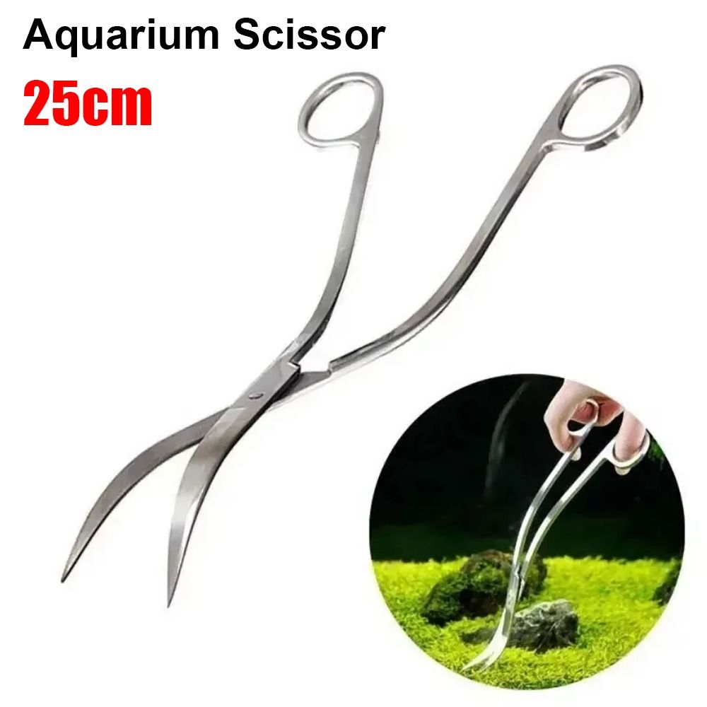 1Pcs Stainless Steel Aquarium  - đánh giá và giá Planted Aquarium Cleaning