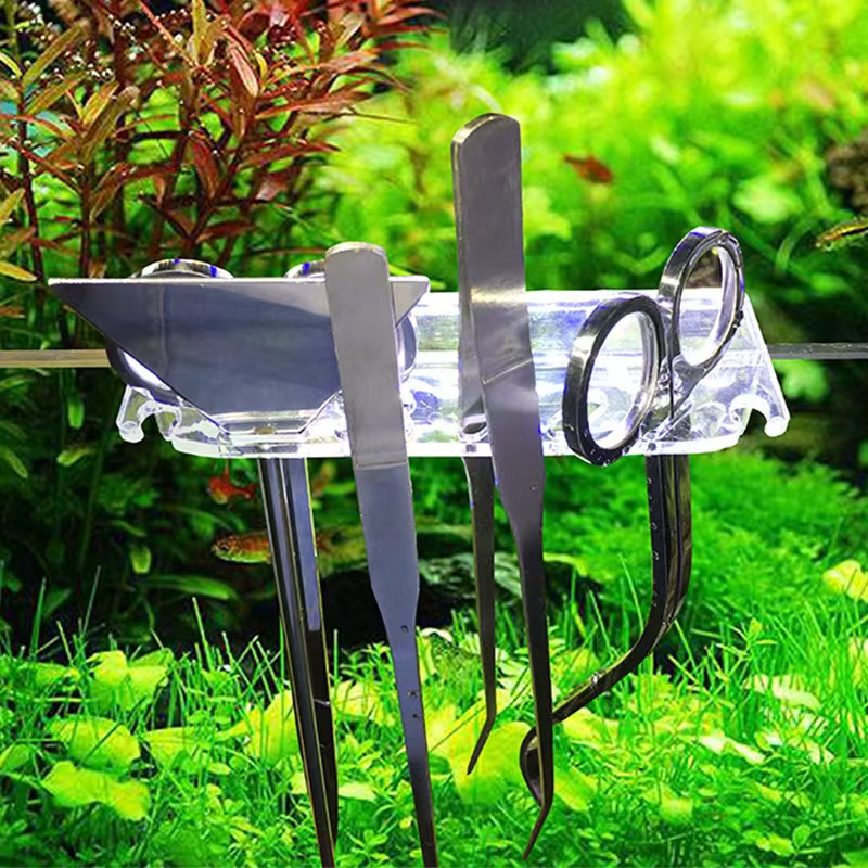 Professional Aquarium Maintena - đánh giá và giá Live Plant Aquarium