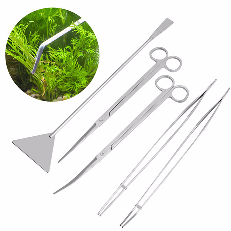 Professional Aquarium Maintena - đánh giá và giá Live Plant Aquarium