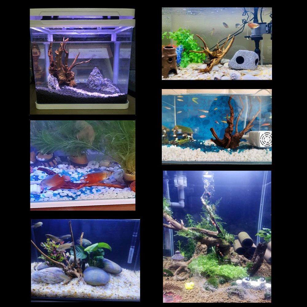 20-25CM Large Aquarium Driftwo - đánh giá và giá Aquarium Driftwood