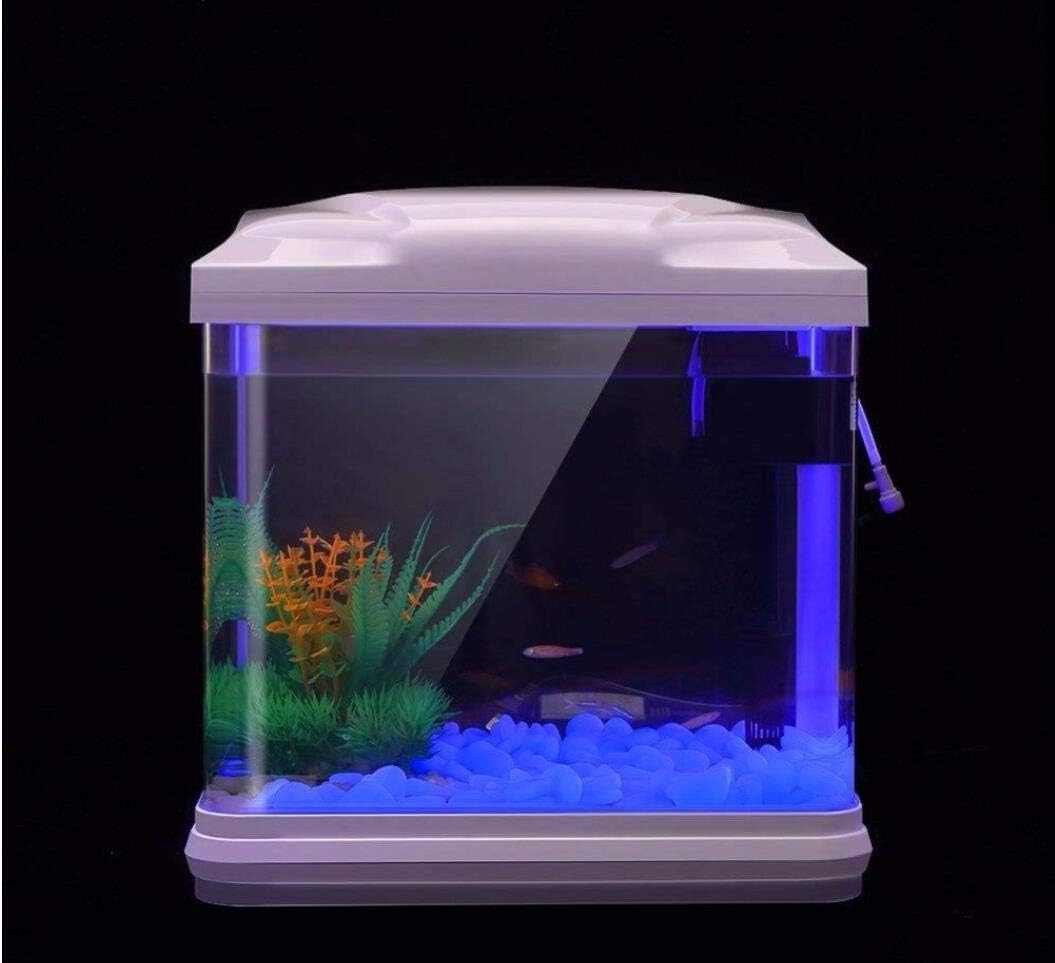 Fish Tank Rocks Glow Blue Pebb - đánh giá và giá Aquarium Moss