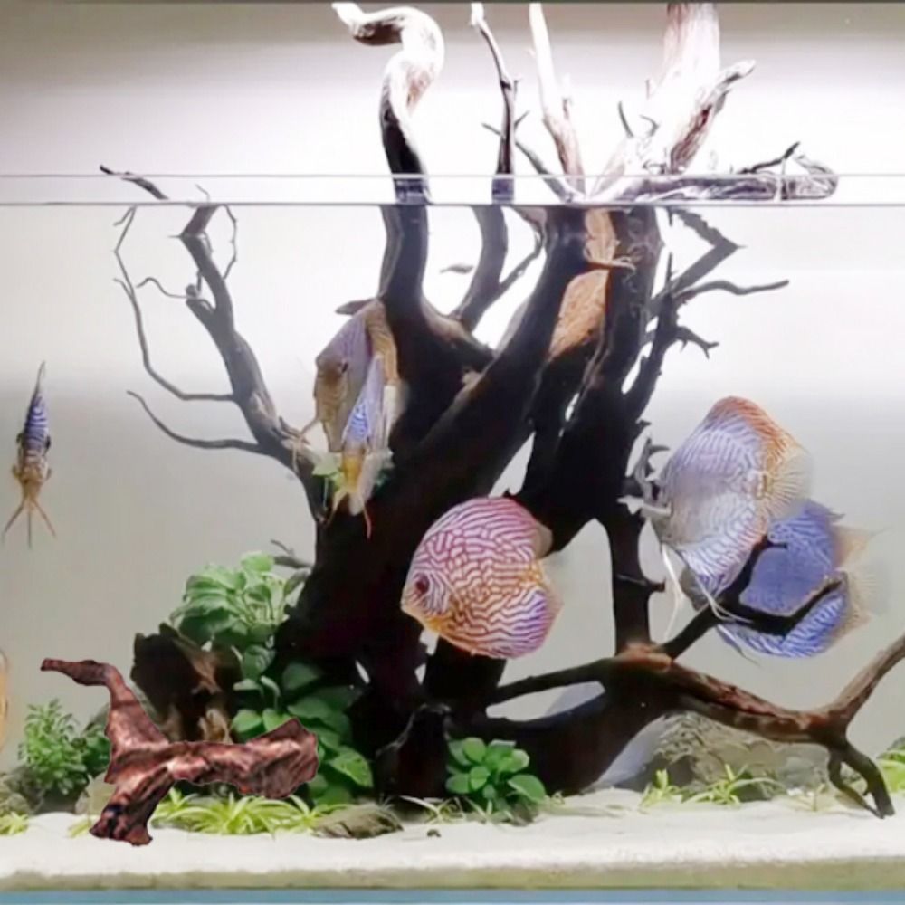 Creative Irregular Shape Coral - đánh giá và giá Aquarium Plant Substrate