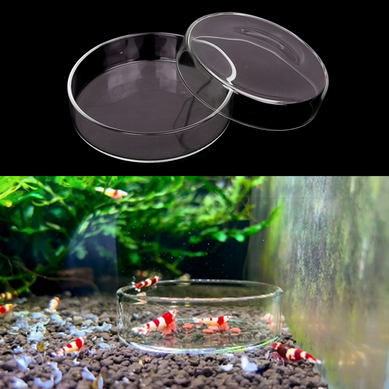 Shrimp Feeding Dish High Trans - đánh giá và giá Aquarium Fertilizer