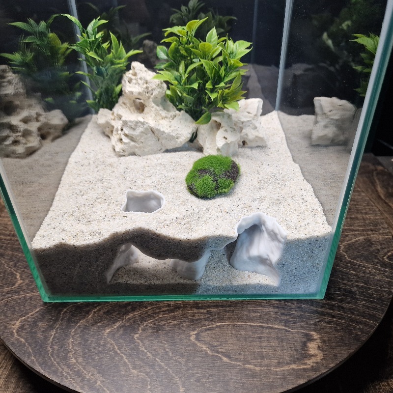Premium 3D Print ShoreSand Aqu - đánh giá và giá Aquarium Plants Live