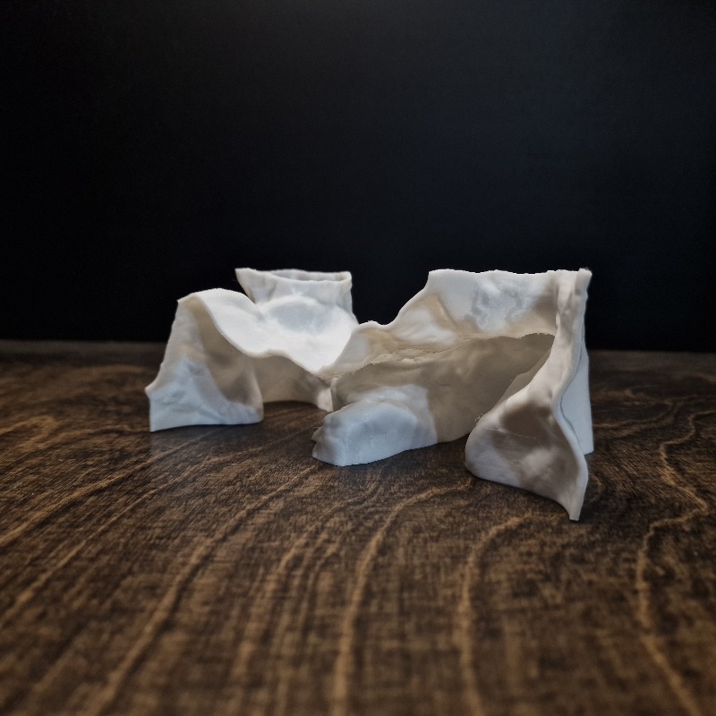 Premium 3D Print ShoreSand Aqu - đánh giá và giá Aquarium Plants Live