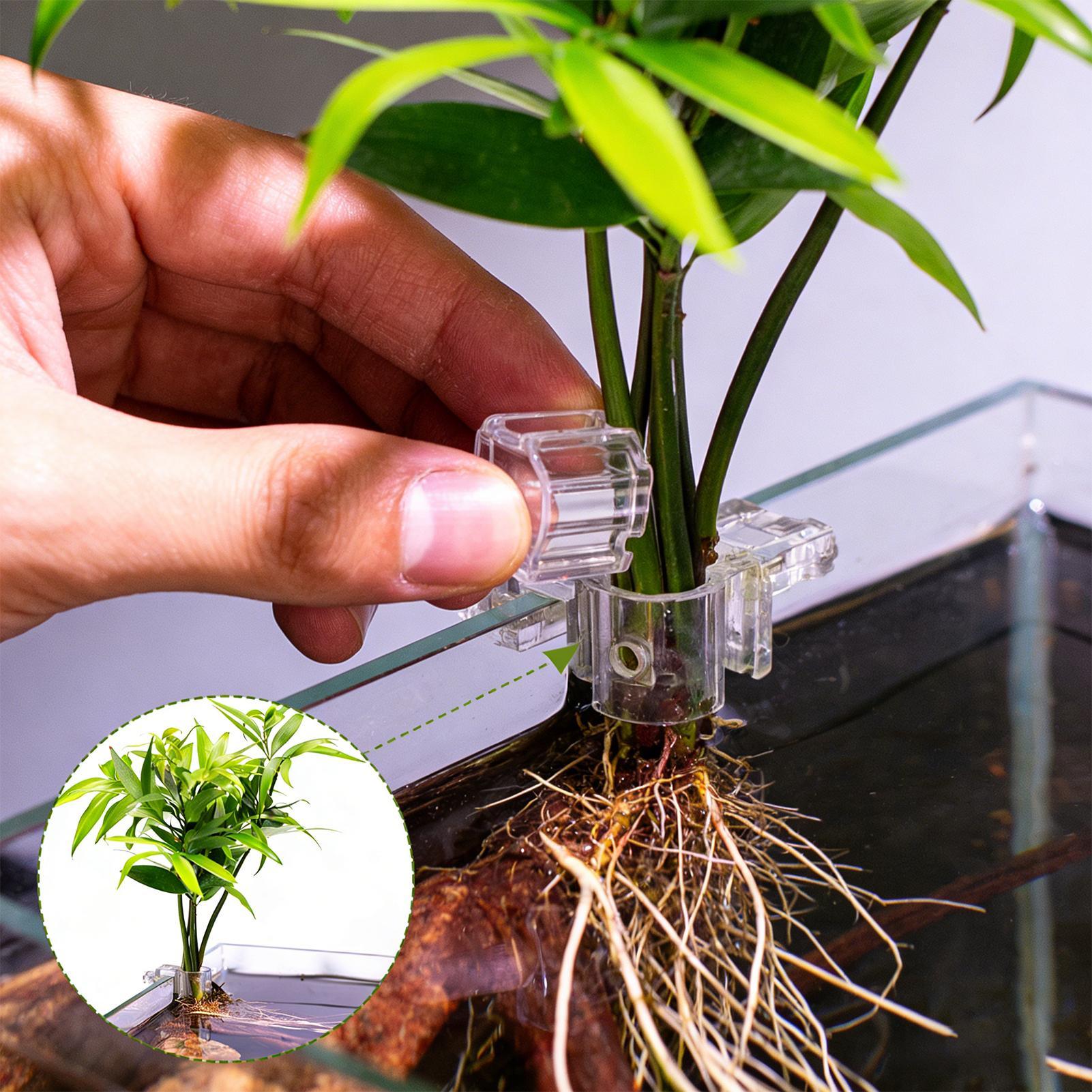 6pcs Aquarium Plant Holders Cl - đánh giá và giá Aquarium Plants Live