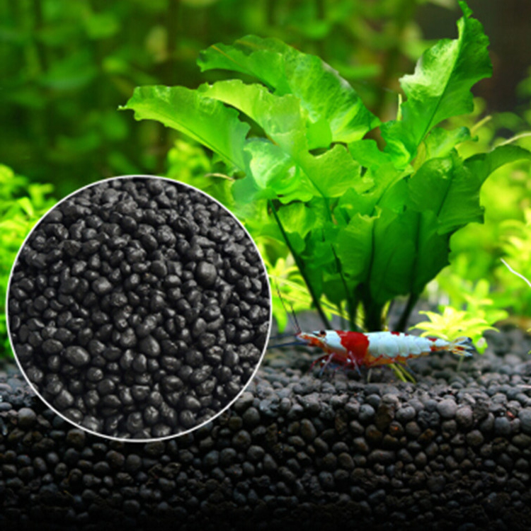 Bể Cá Cảnh Vật Có Hạt Đất Fish - đánh giá và giá Aquarium Plant Substrate