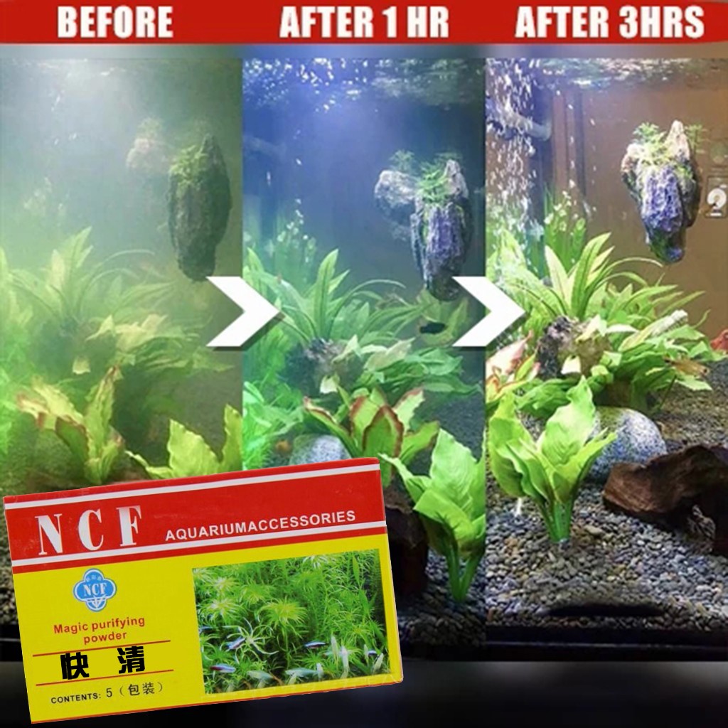 Aquarium Water Purifying Powde - đánh giá và giá Aquarium Moss