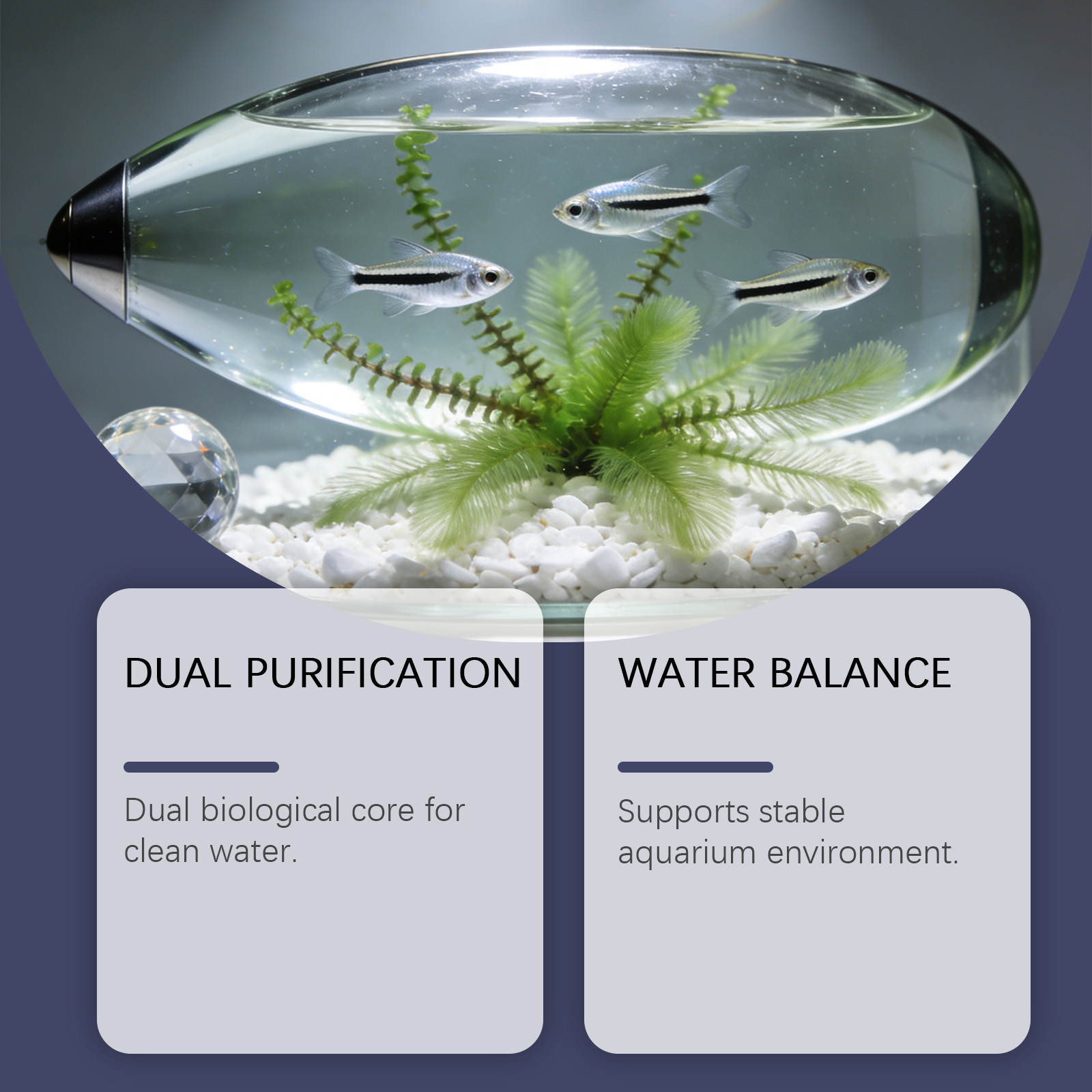 Algae Remover Tablets for Aqua - đánh giá và giá Planted Aquarium Algae Control