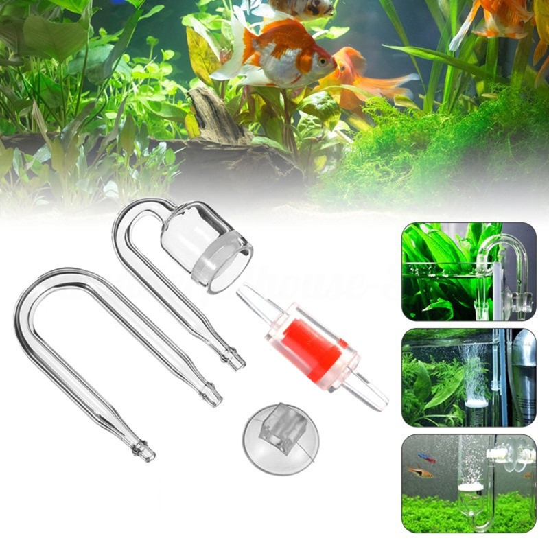 4pcs Set DIY CO2 Diffuser For  - đánh giá và giá Live Plant Aquarium