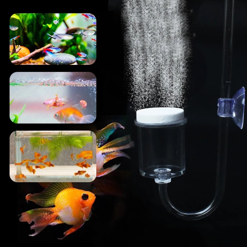 4pcs Set DIY CO2 Diffuser For  - đánh giá và giá Live Plant Aquarium