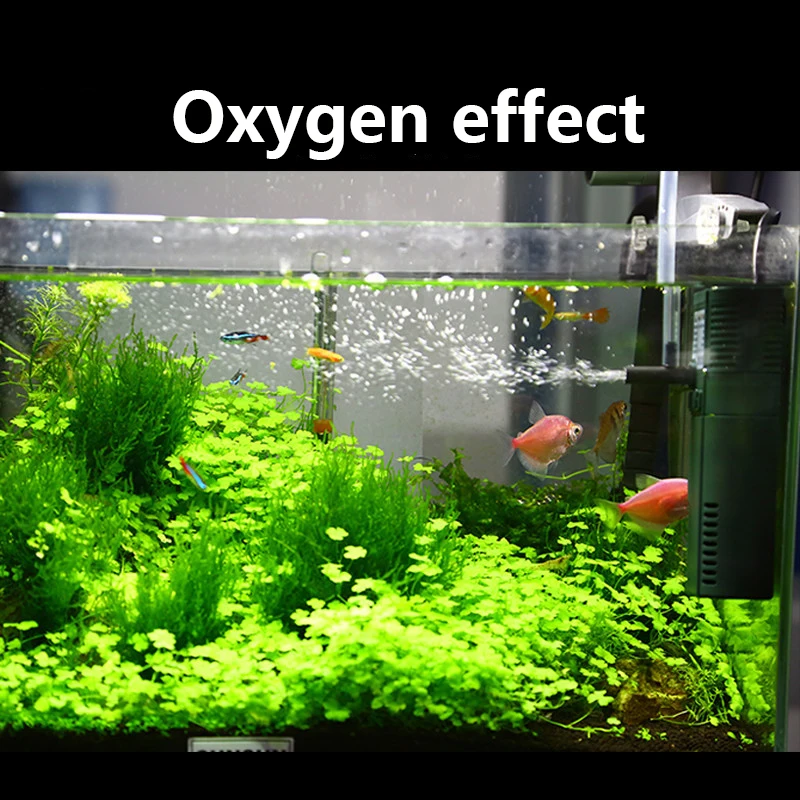 SUNSUN Nano Mini Xây Dựng Nội  - đánh giá và giá Aquarium Planted Tank Filter