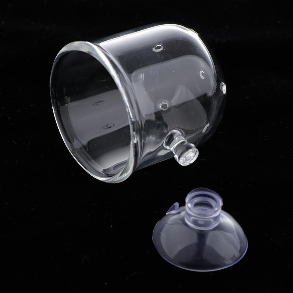 Fish Feeding Basket Glass Aqua - đánh giá và giá Live Plant Aquarium